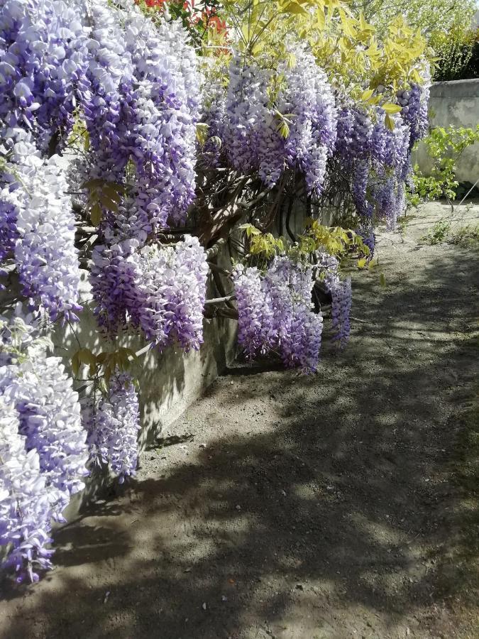Double Room Garden View